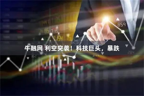 牛融网 利空突袭！科技巨头，暴跌