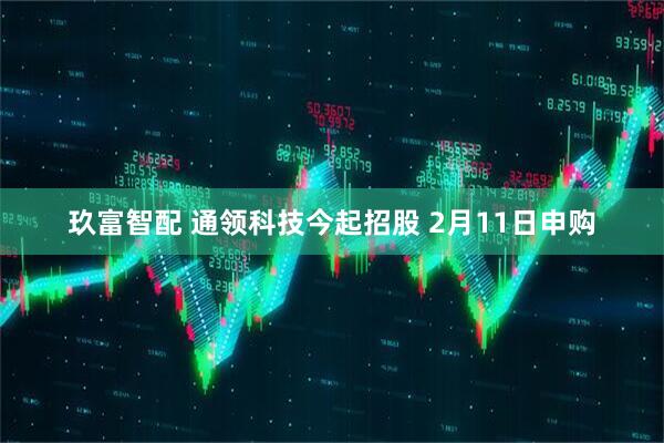 玖富智配 通领科技今起招股 2月11日申购